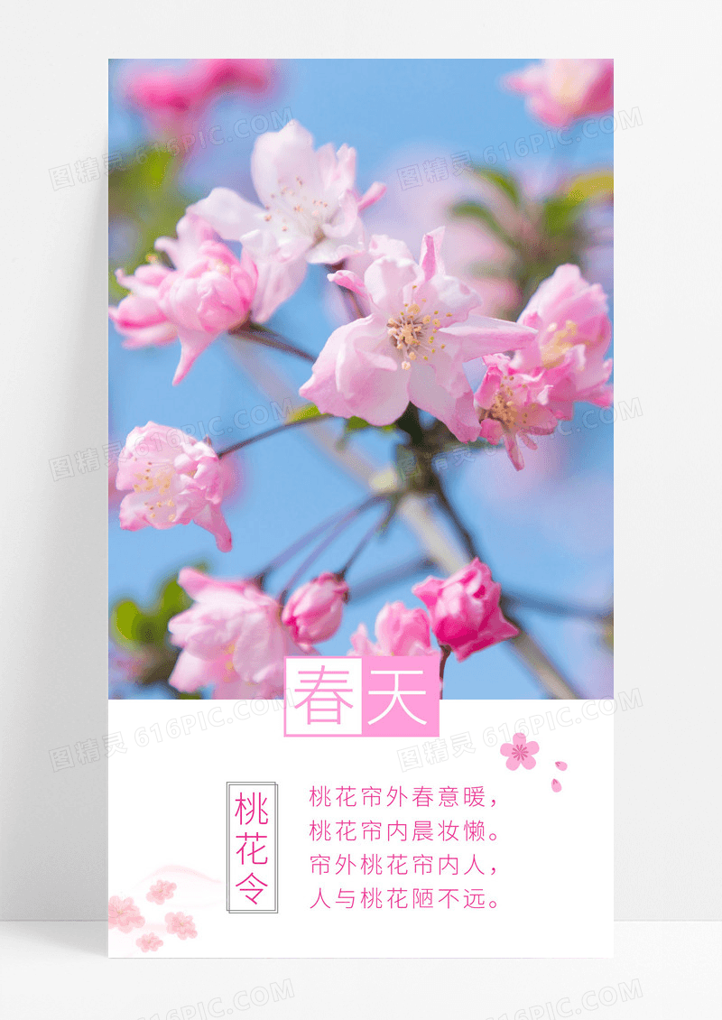 励志你好春天粉色樱花手机海报