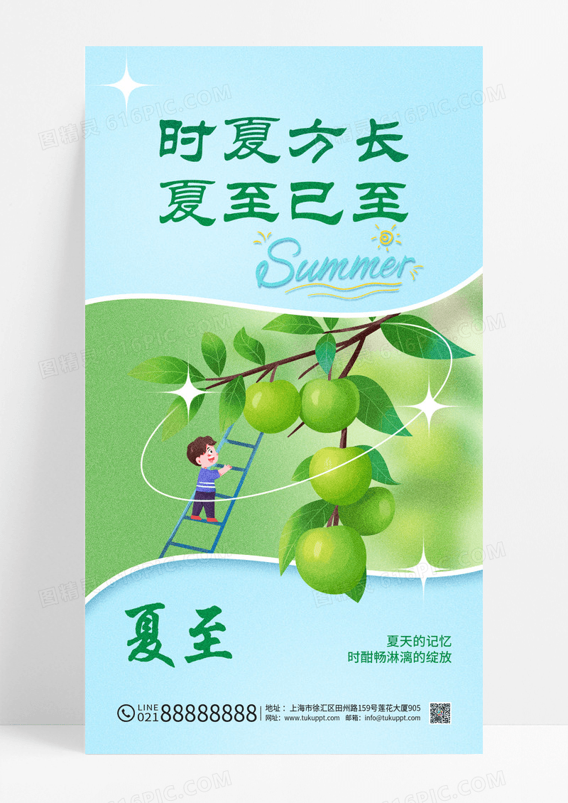 蓝色夏至青梅果实夏天采摘插画手绘夏至节气手机宣传海报