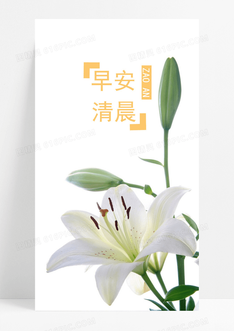 早安清晨手机的海报配图图片
