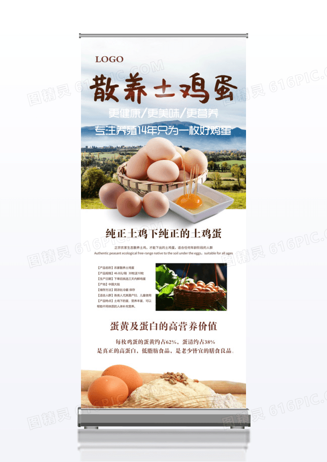 散养土鸡蛋健康美食宣传册x展架