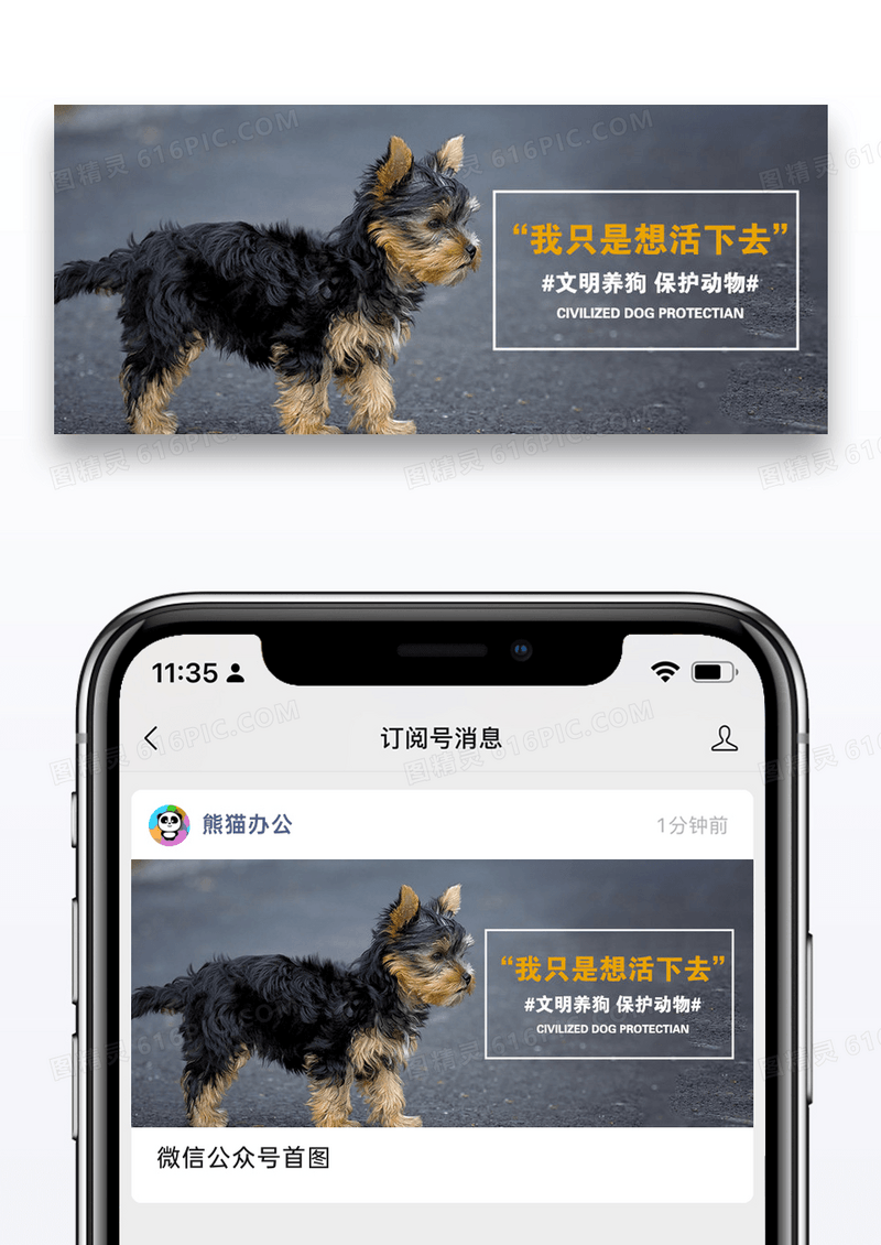 保护动物公众号封面配图图片设计