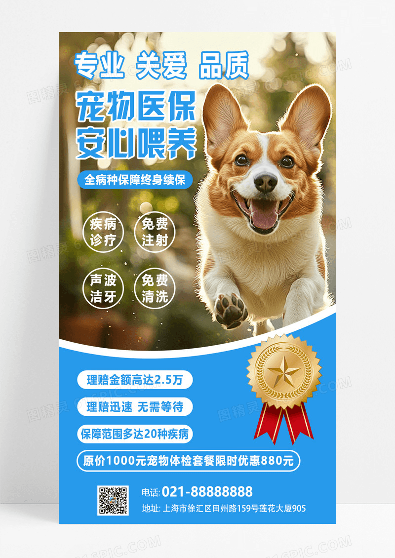 蓝色简约背景宠物医保医疗保险健康服务医院促销优惠宣传海报