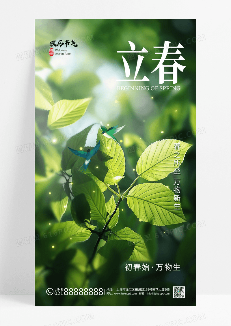 绿色立春传统节气绿色春天宣传海报