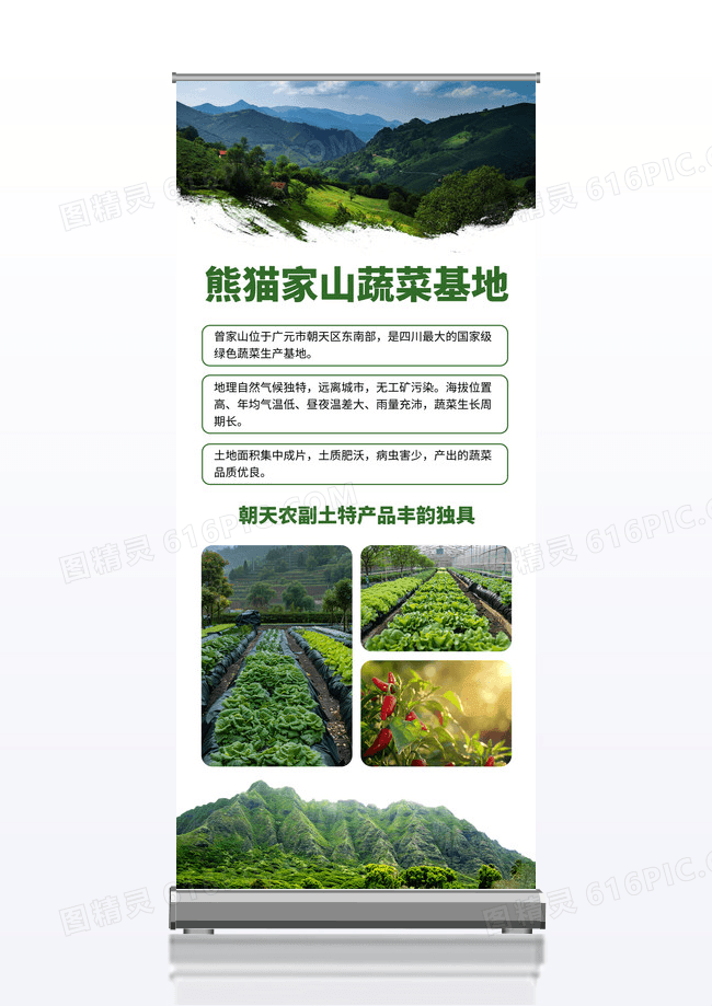 绿色简约蔬菜基地蔬菜易拉宝展架