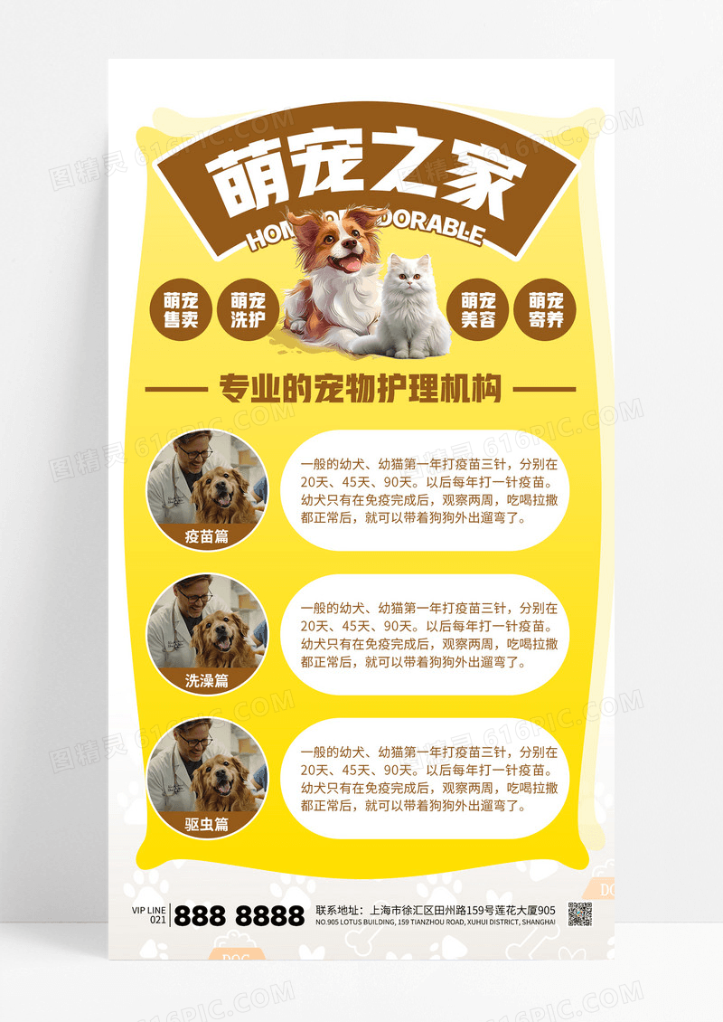 黄色简约萌宠之家宠物服务宠物洗澡猫狗护理海报