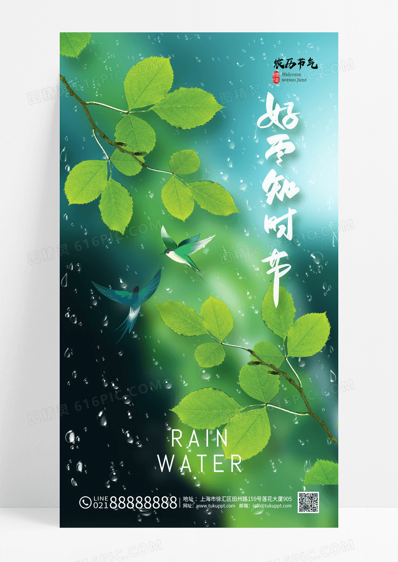 绿色简约实拍雨水好雨知时节意境海报