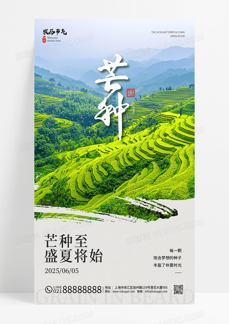 绿色简约芒种田园风景二十四节气芒种手机宣传海报