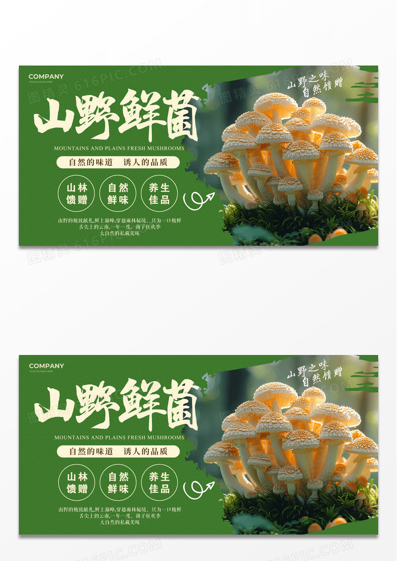 绿色简约农产品野生菌宣传展板蘑菇羊肚菌海报展板