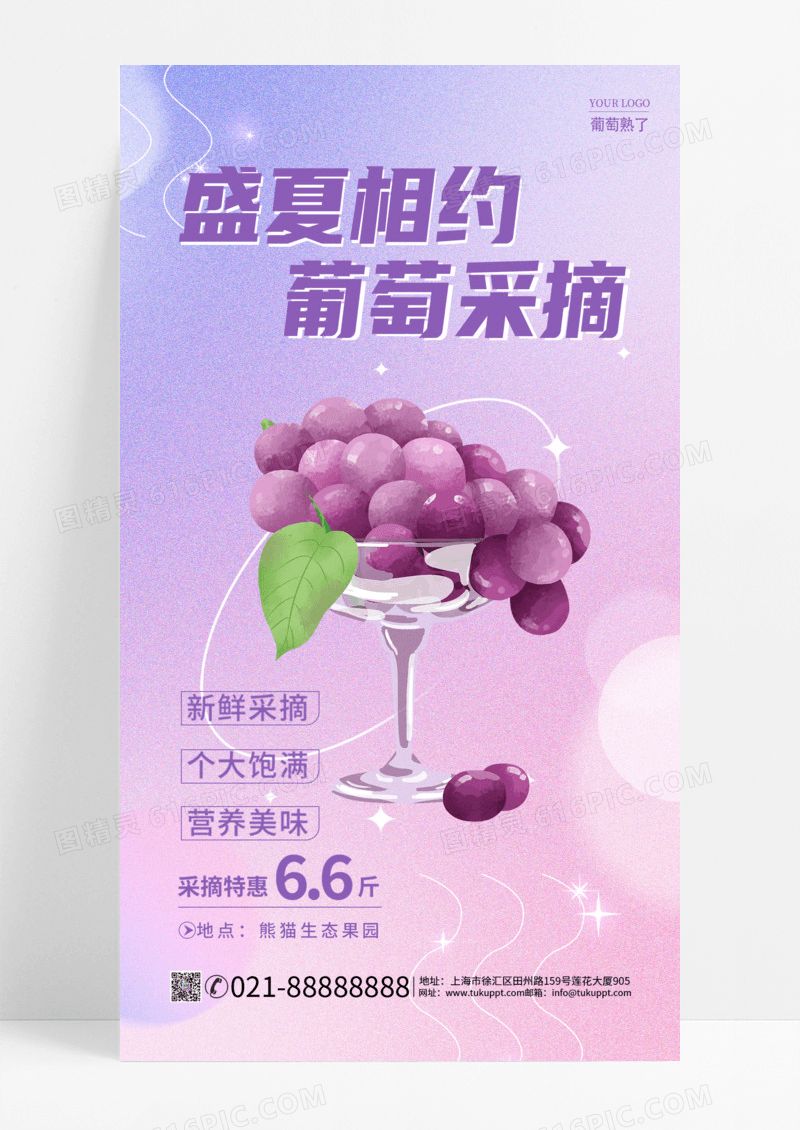 2024盛夏相约葡萄采摘葡萄宣传海报紫色背景简约风格海报葡萄手机宣传海报