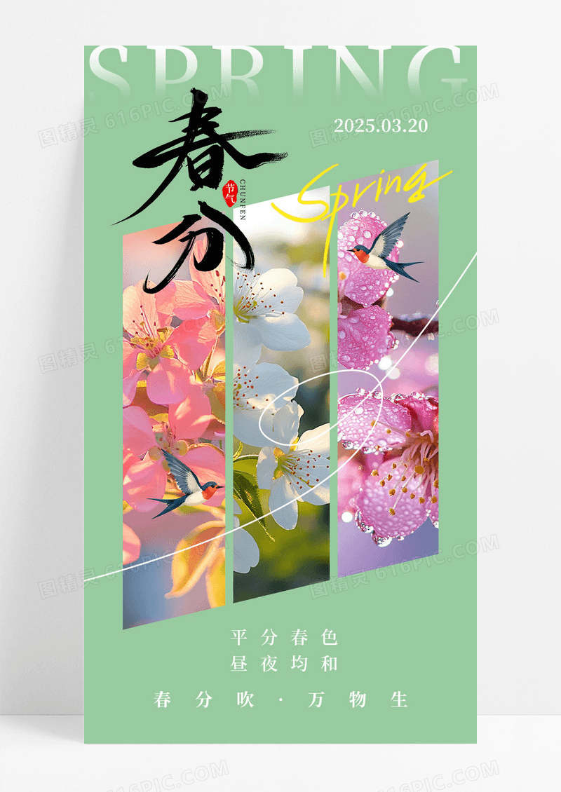 绿色春分节气传统24节气春分摄影图海报