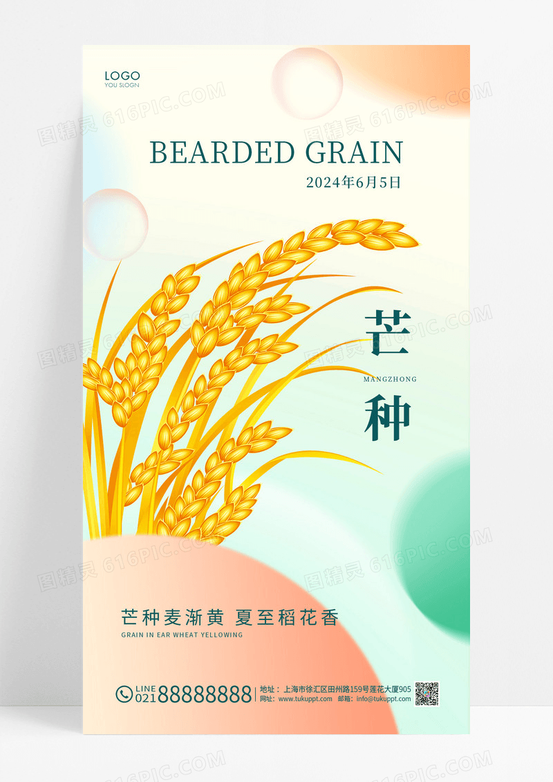 简约二十四节气芒种手机海报