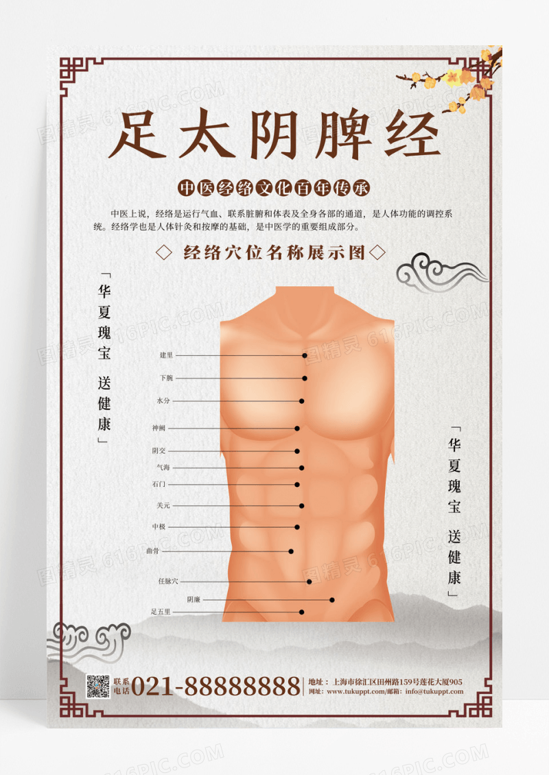 传统中医人体经络穴位套图海报