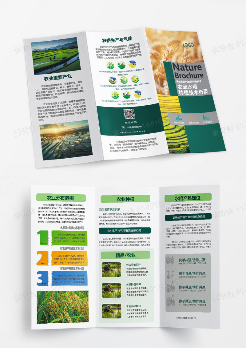 绿色清新农业水稻宣传三折页农业水稻
