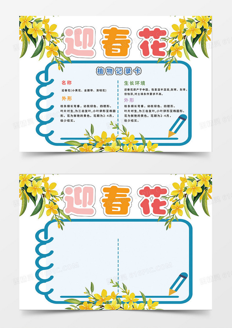 黄色简约迎春花植物记录卡小报手抄报