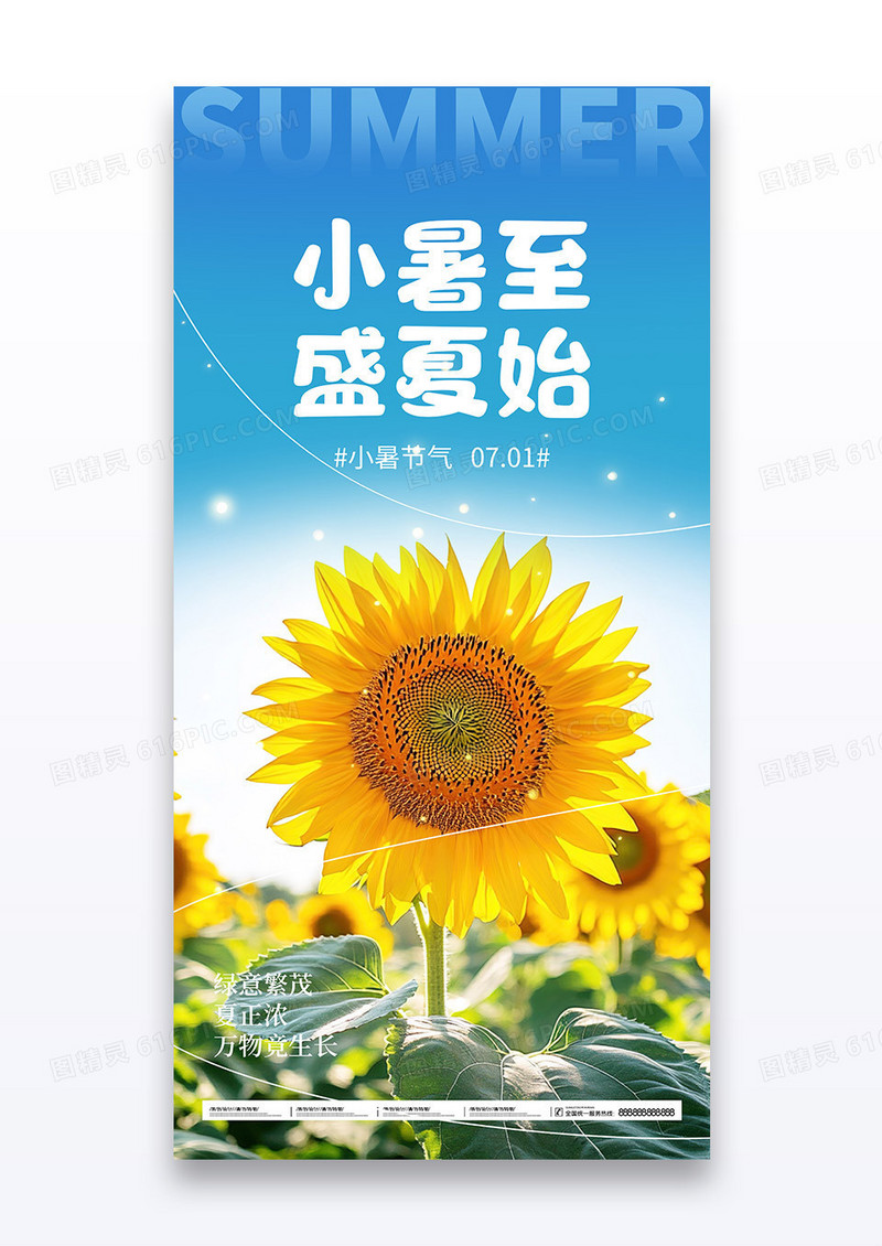 小暑二十四节气传统节气摄影图宣传海报