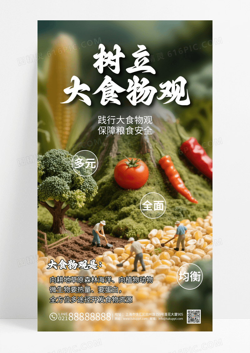 大食物观粮食均衡膳食宣传政策解读海报
