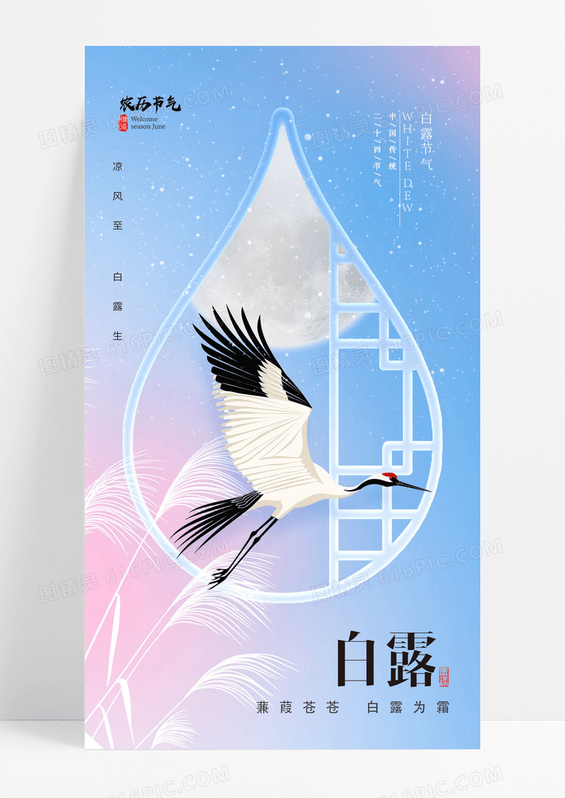 蓝色渐变简约白露节气海报
