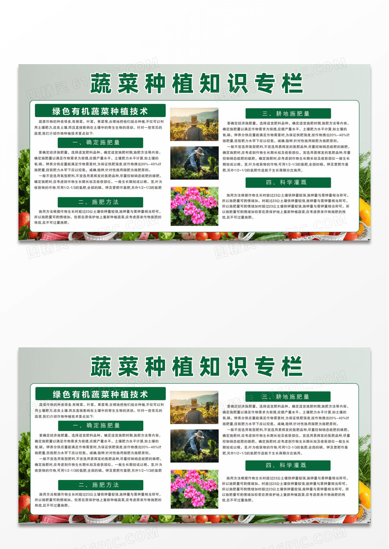 绿色背景蔬菜粮食种植知识宣传栏农业种植展板设计