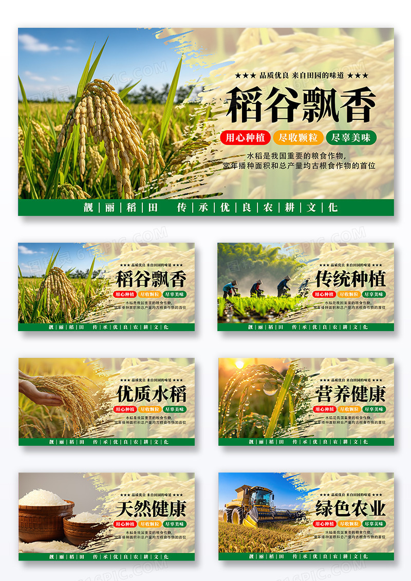 绿色时尚创意摄影清新水稻宣传海报套图组合
