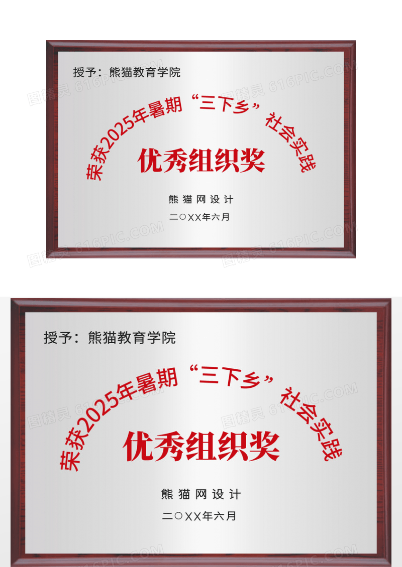银色简约师范学院社会实践优秀组织奖证书