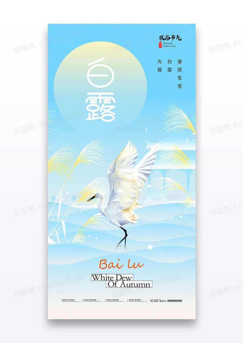 蓝色渐变二十四节气白露白鹭海报