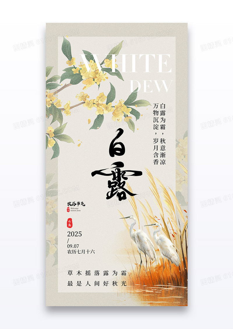 简约二十四节气白露白鹭芦苇桂花海报