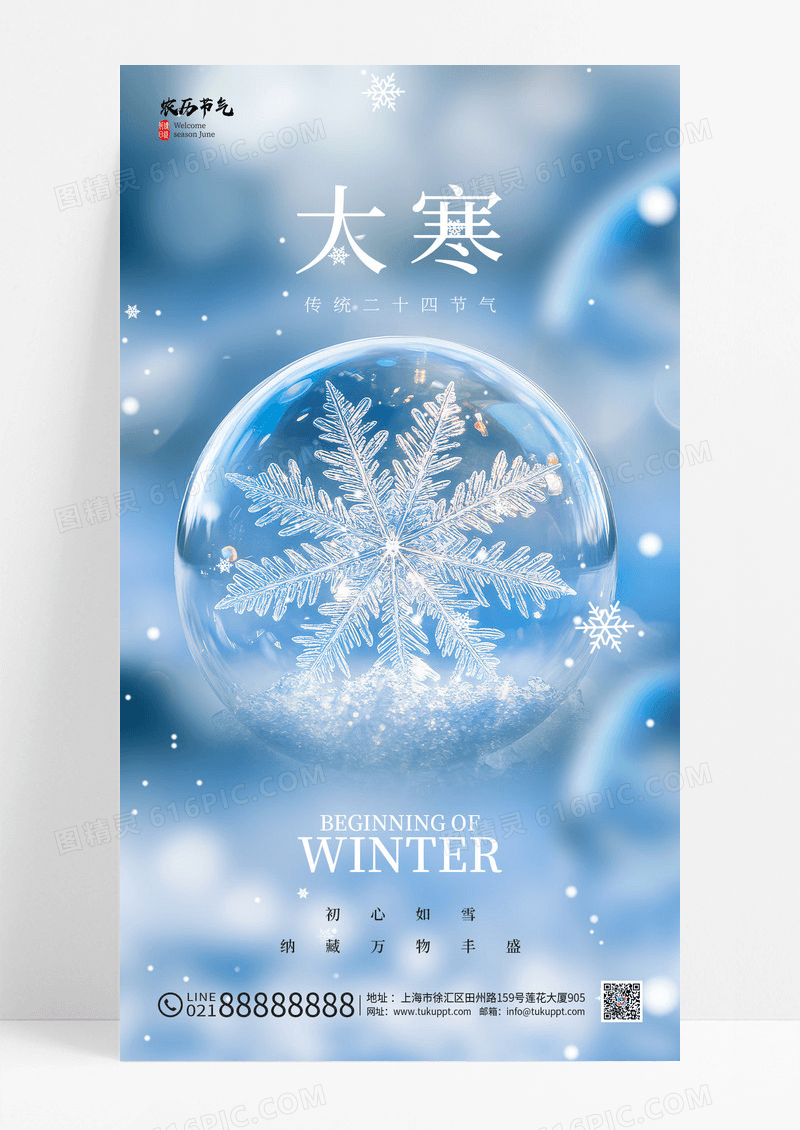 简约炫彩二十四节气大寒海报