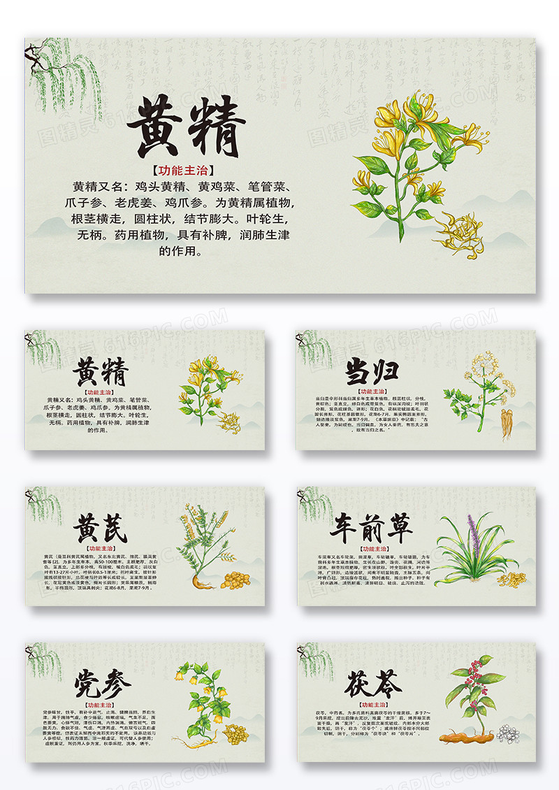 灰色纯色复古中药药材组合展板