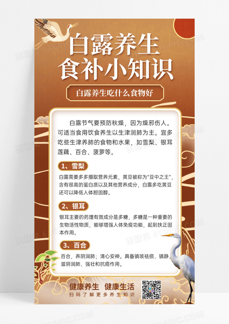 国潮白露养生科普手机宣传海报