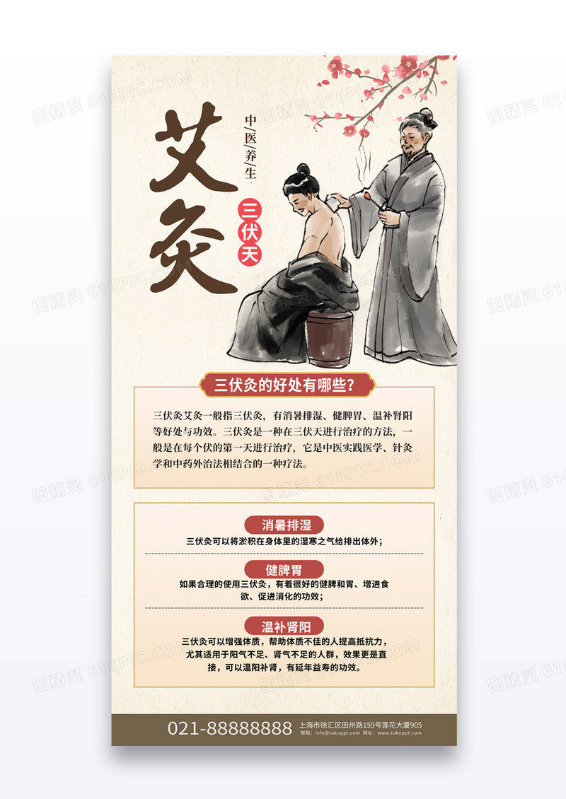中国风三伏天艾灸中医养生海报