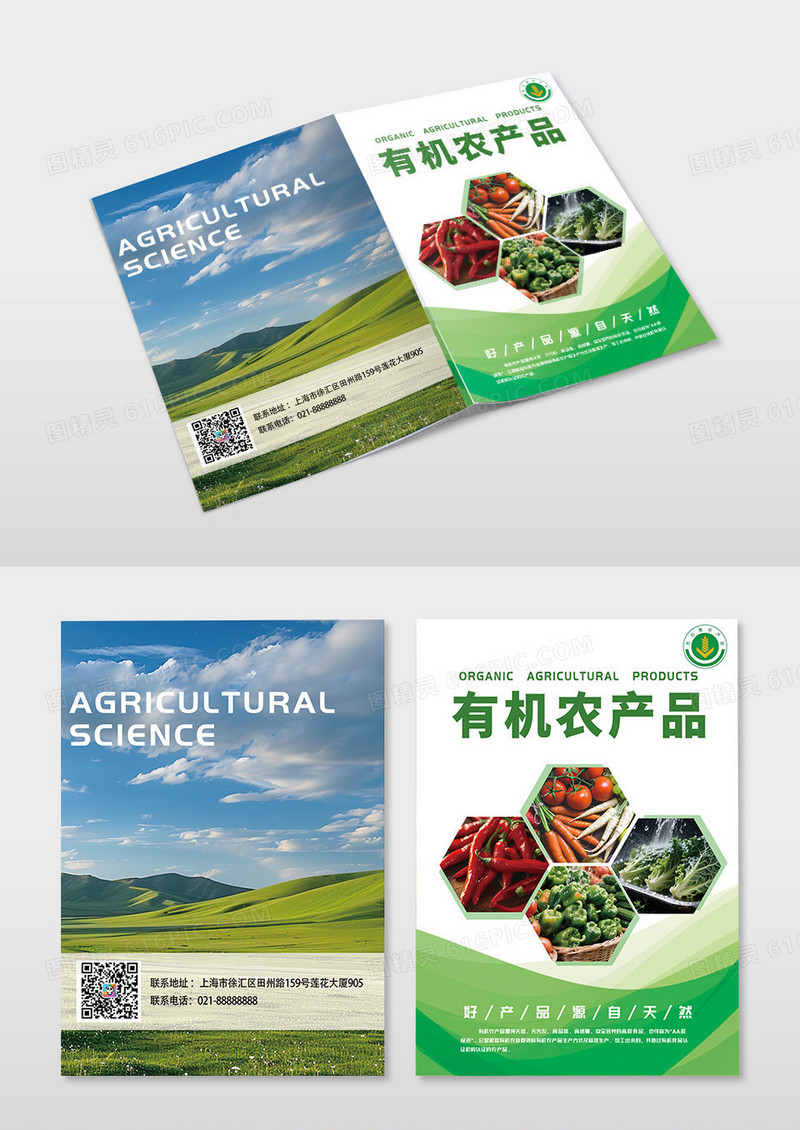 绿色时尚创意有机蔬菜水果农产品画册封面