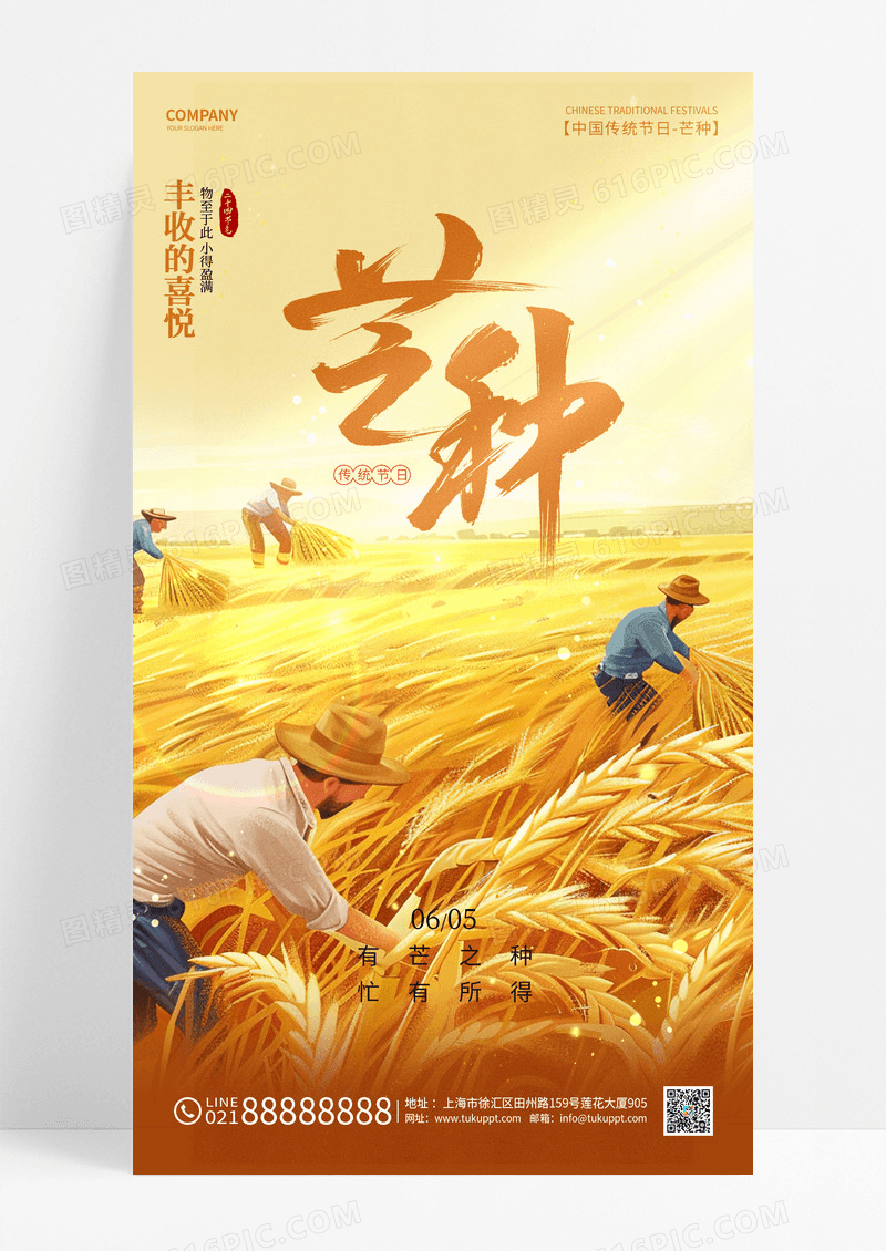 金色简约二十四节气芒种丰收节气海报