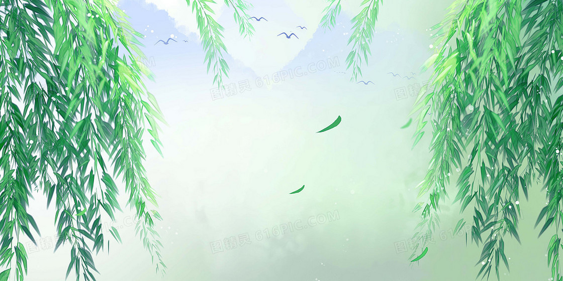 柳树柳条清新文艺插画背景
