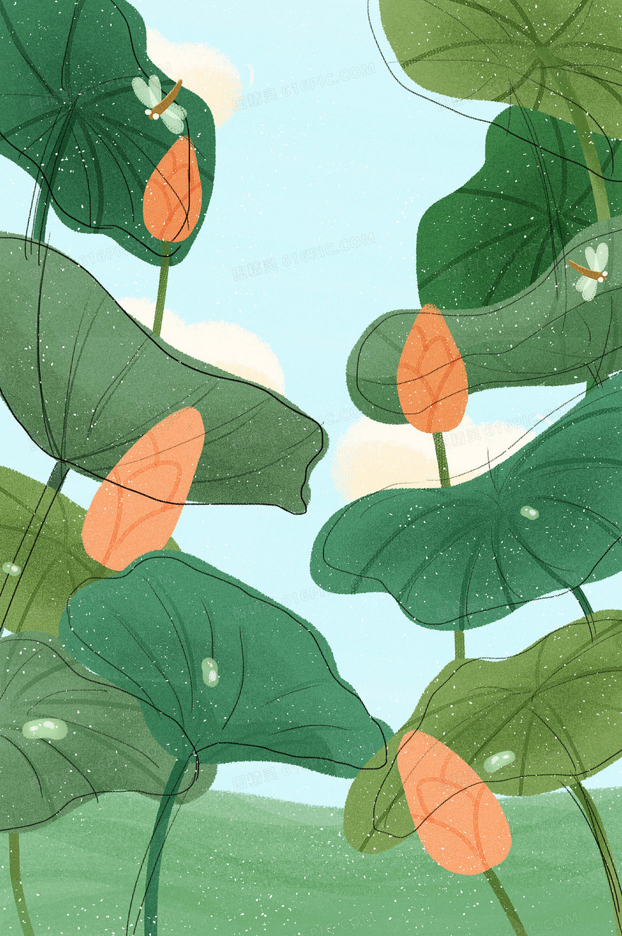 夏日荷花文艺清新卡通插画背景