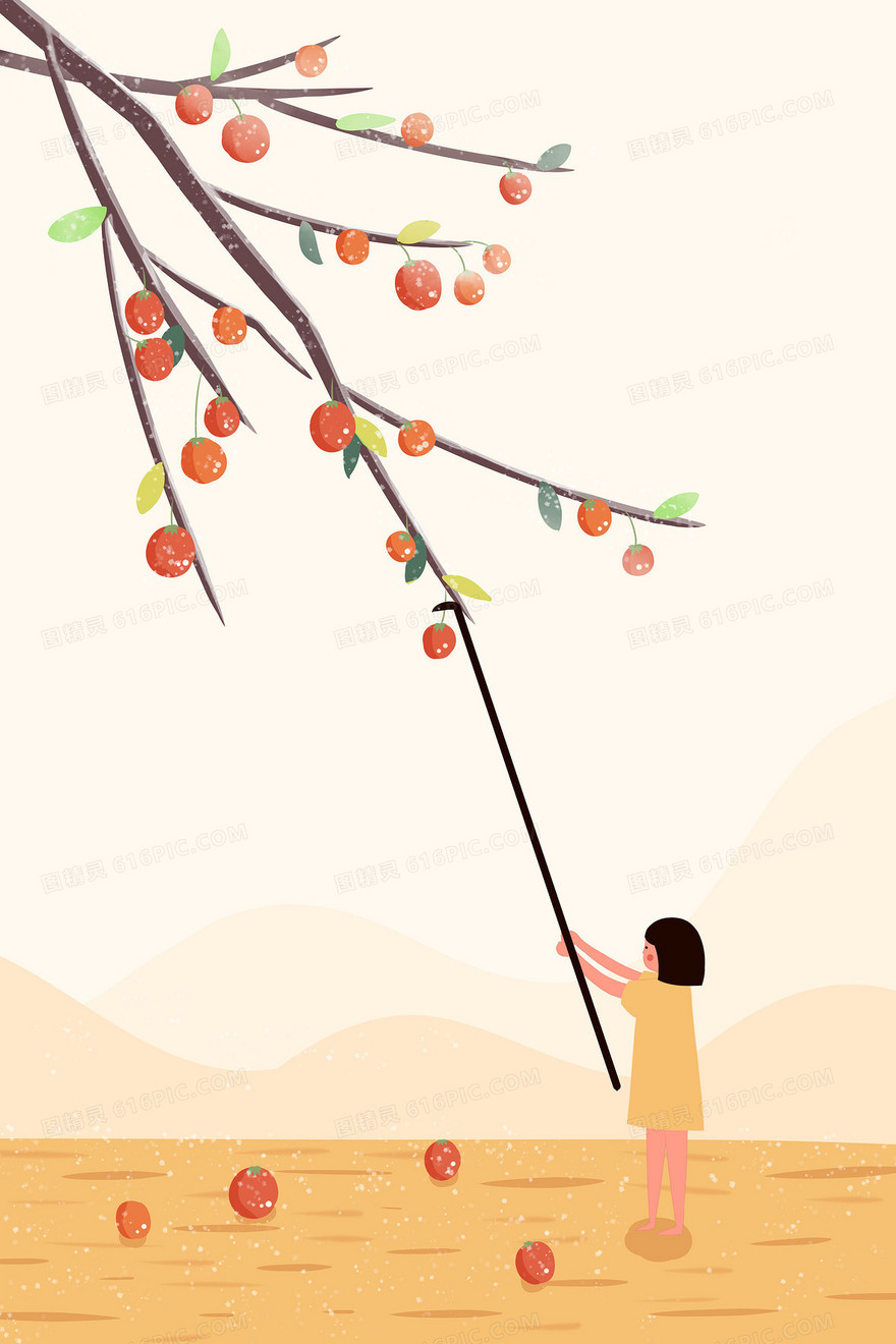 唯美霜降摘柿子背景图