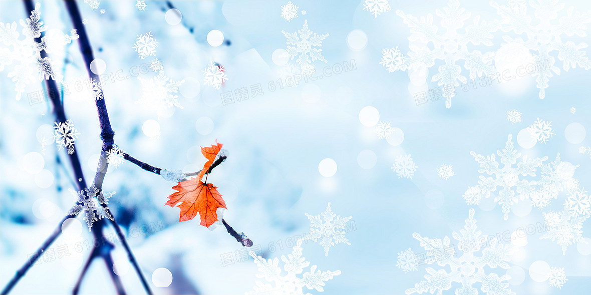 冬天下雪背景图片下载 免费高清冬天下雪背景设计素材 图精灵