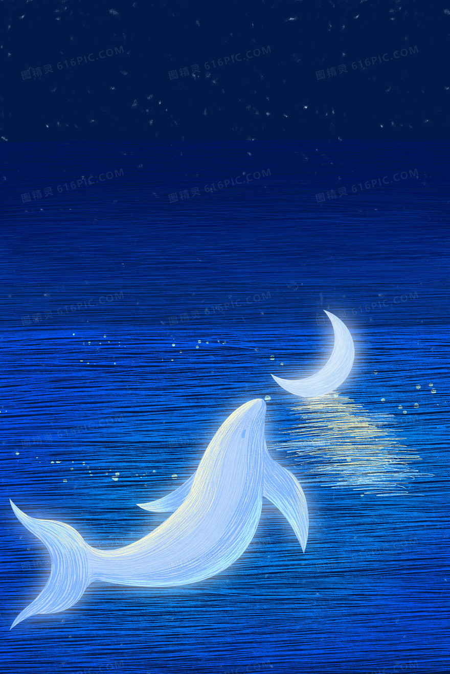 治愈系夜色下的海豚手绘插画