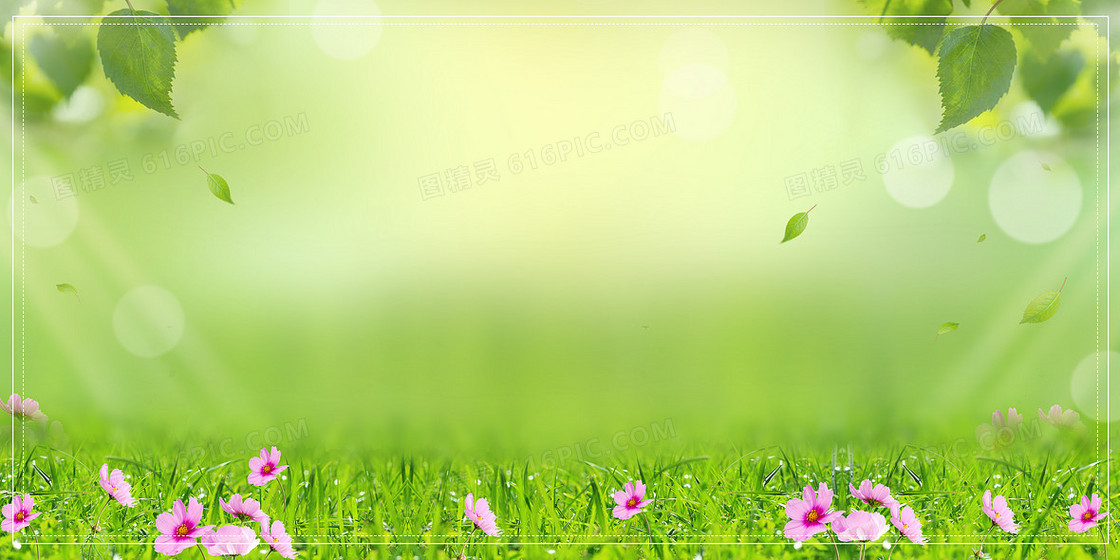 绿色春分春季花草摄影图合成清新背景