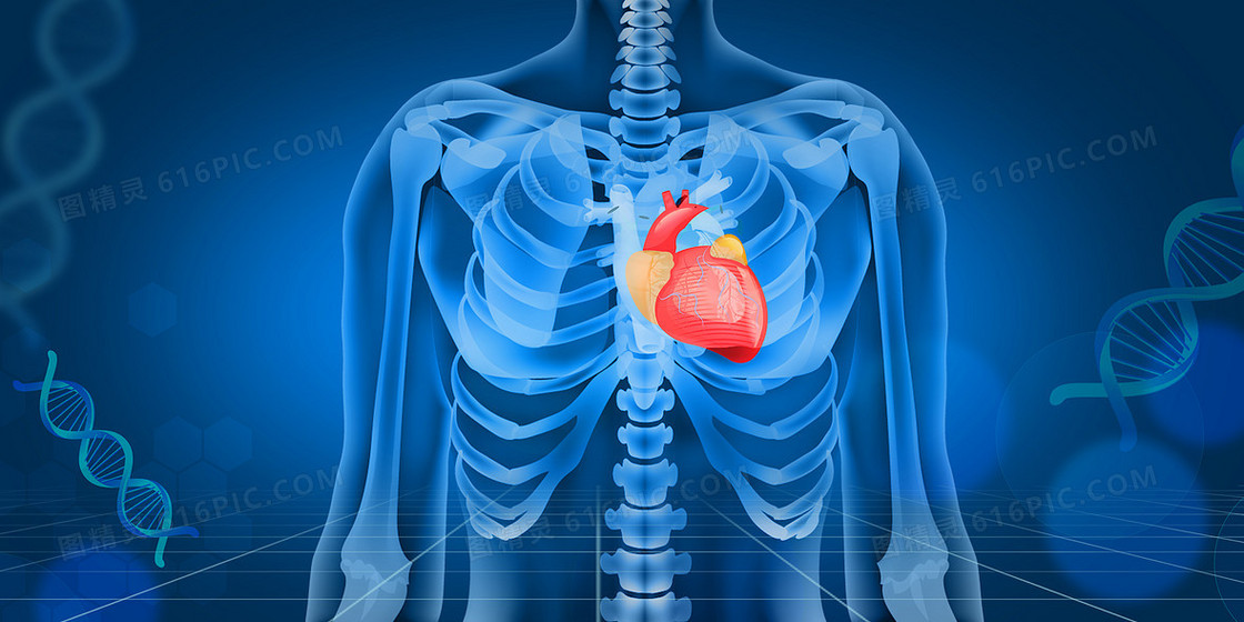医疗可以人体骨骼心脏医学科技背景