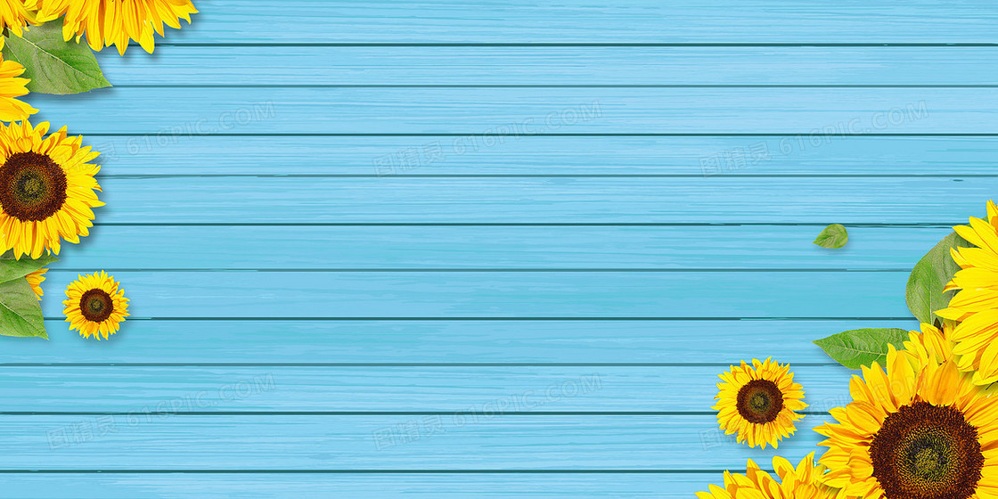 夏季清新蓝色木板向日葵二十四节气小暑大暑夏天背景