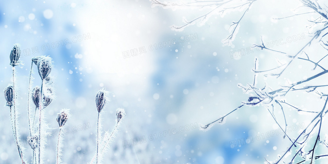 创意简约冬季打霜下雪摄影图合成背景