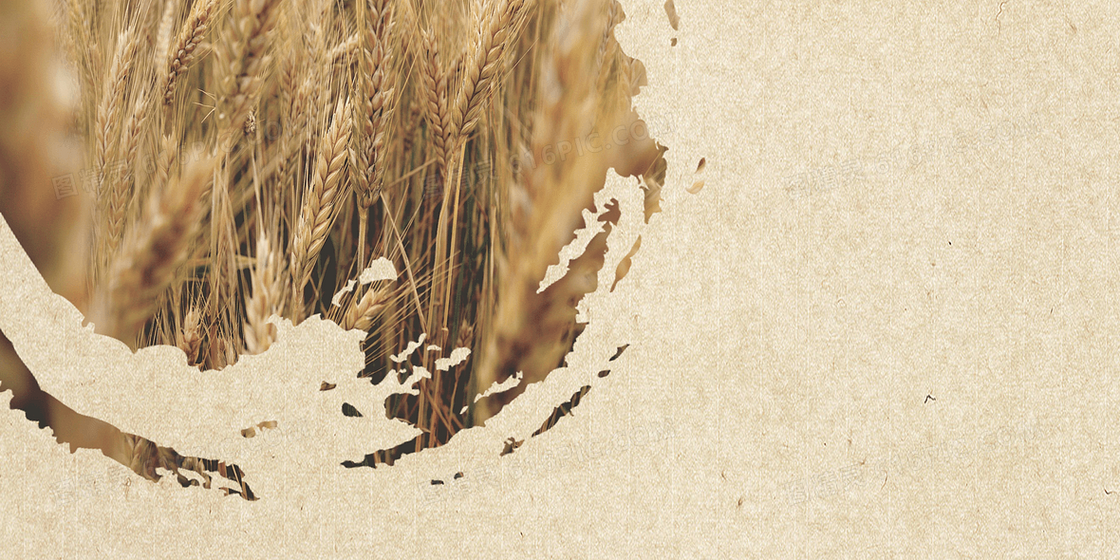 创意小麦丰收摄影合成背景