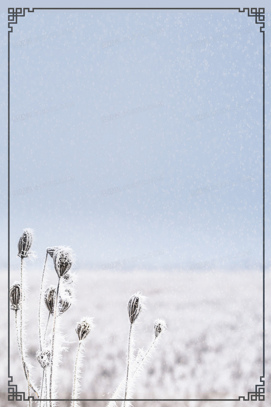 创意摄影合成冬天下雪结霜背景