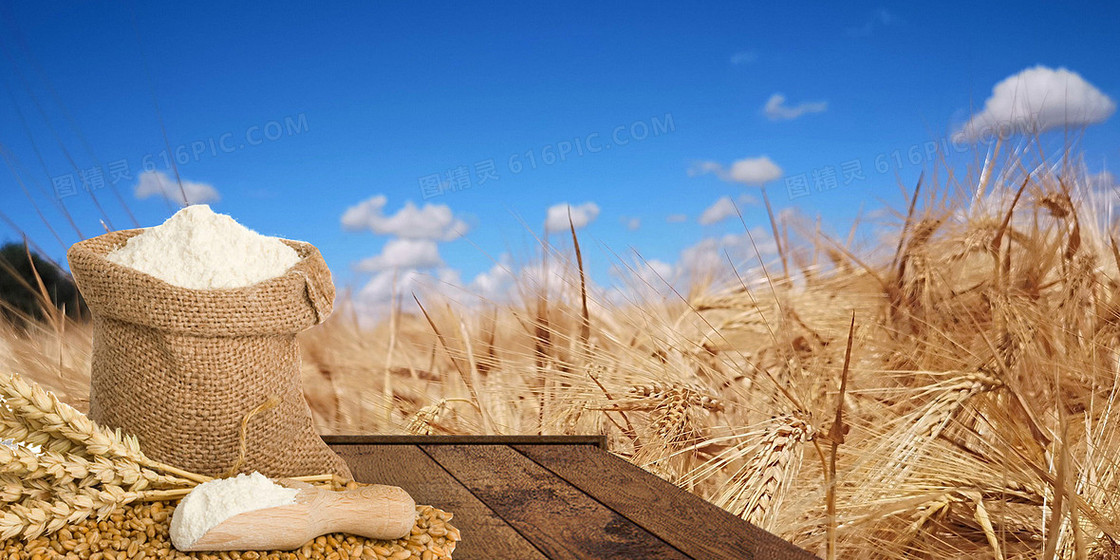 大气简约世界粮食日珍惜粮食背景