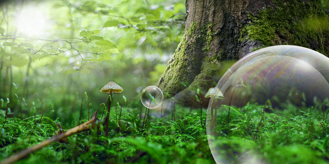 简约青山大自然植物背景