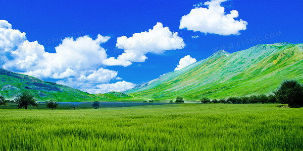 大氣綠色清新草地天空藍天攝影合成背景