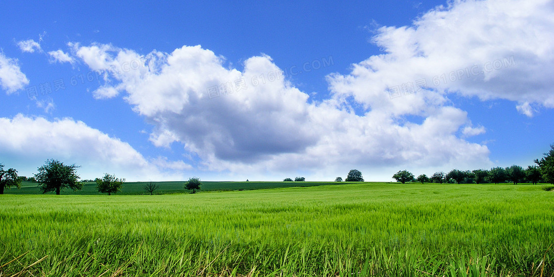大气清新草原草地蓝天白云摄影合成背景