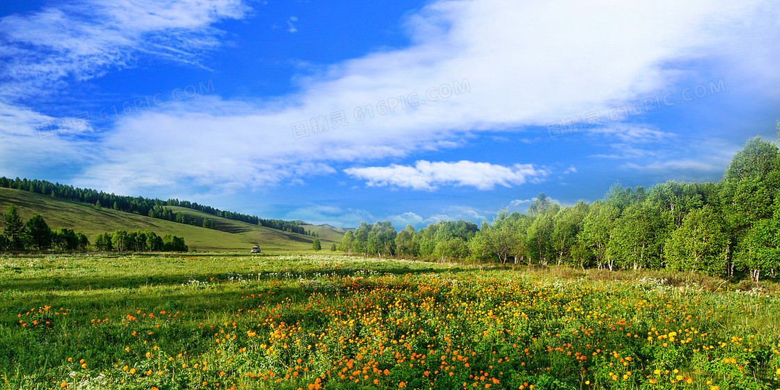 简约清新蓝天天空白云草地云彩海报背景