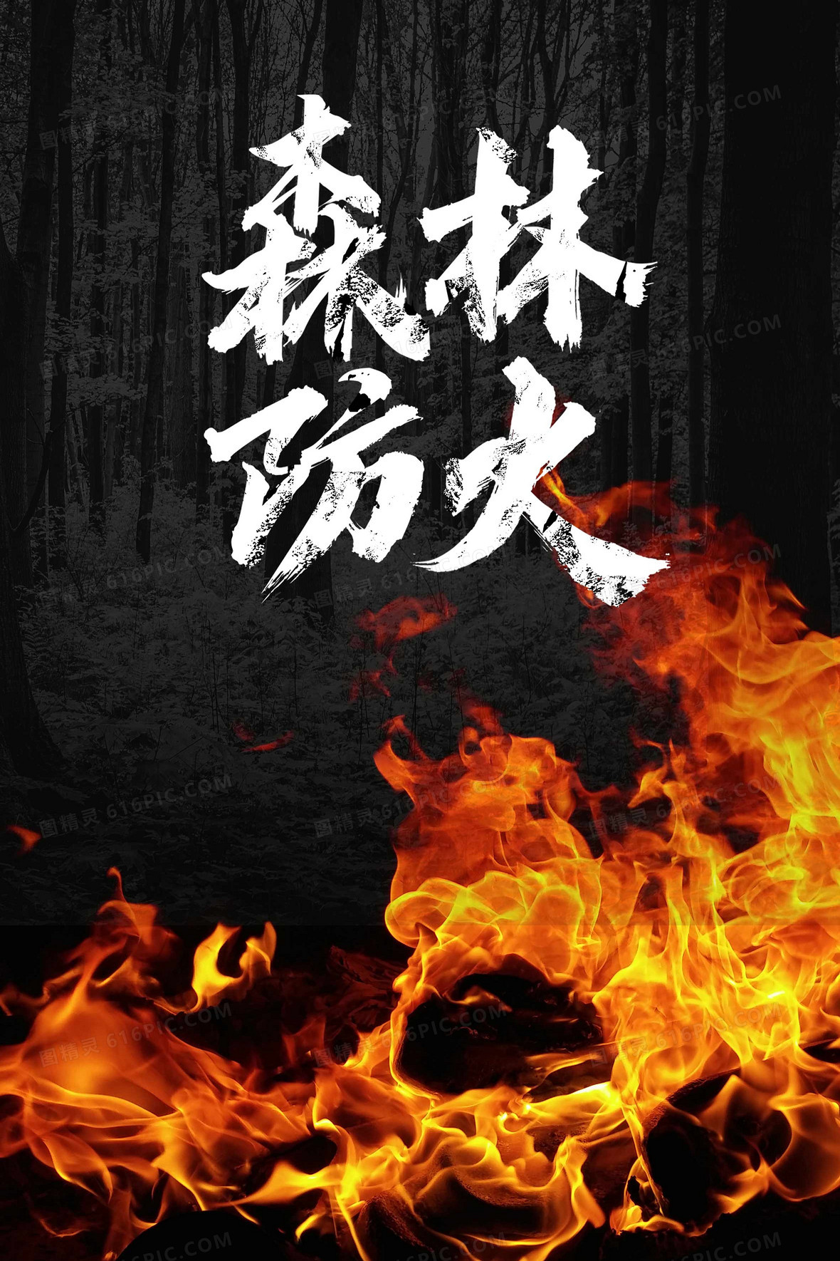 大气简约森林防火摄影合成背景背景图片下载_2362x3543像素jpg格式_编