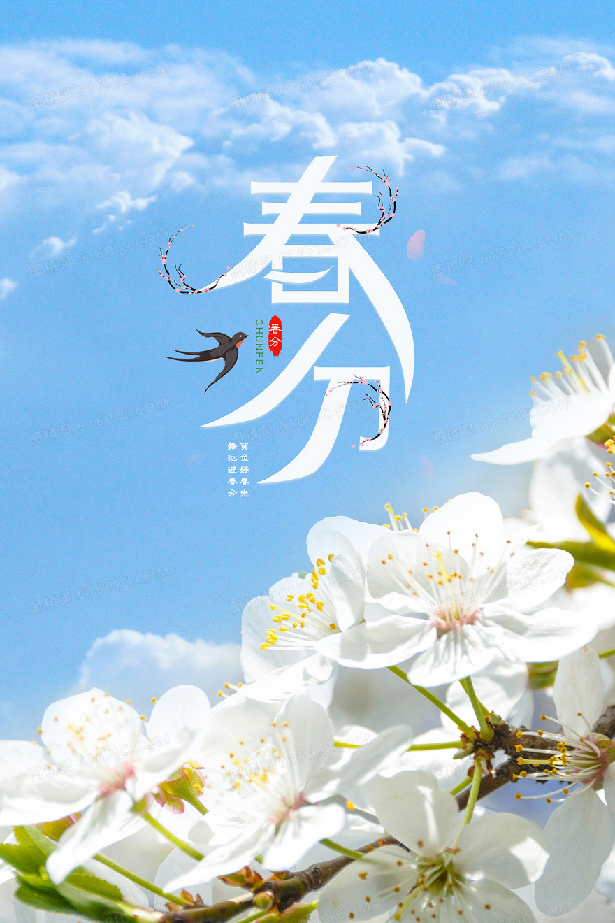 小清新春分花卉摄影合成背景